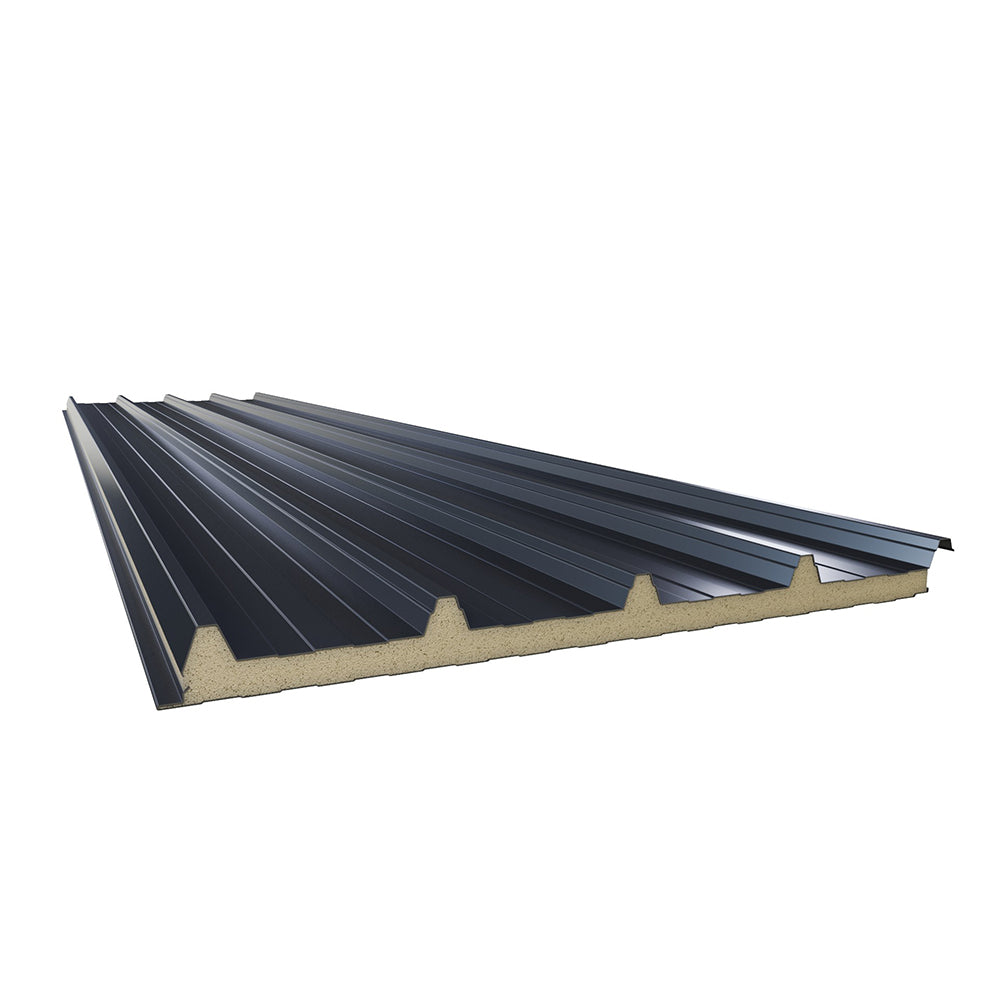 Sandwichplatten Dach in Anthrazit